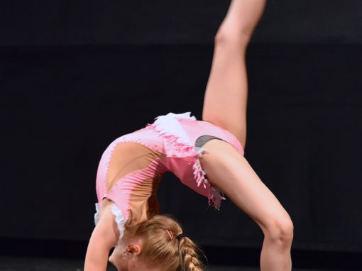 0103-80-vyrocie-zsmh-foto-pavol-harum