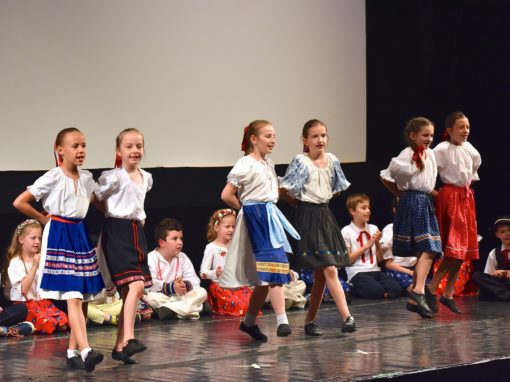 0147-80-vyrocie-zsmh-foto-pavol-harum