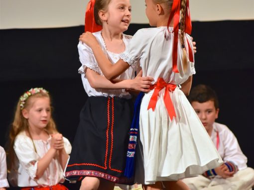 0150-80-vyrocie-zsmh-foto-pavol-harum