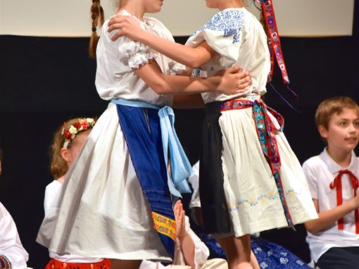 0153-80-vyrocie-zsmh-foto-pavol-harum