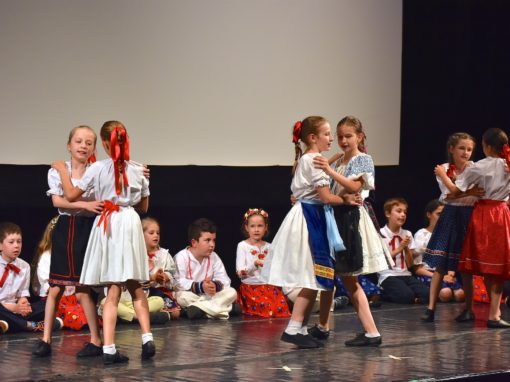 0157-80-vyrocie-zsmh-foto-pavol-harum