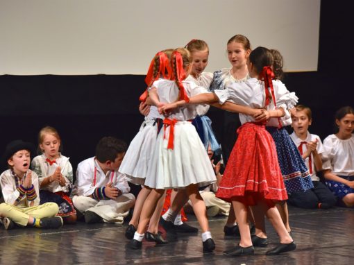 0159-80-vyrocie-zsmh-foto-pavol-harum