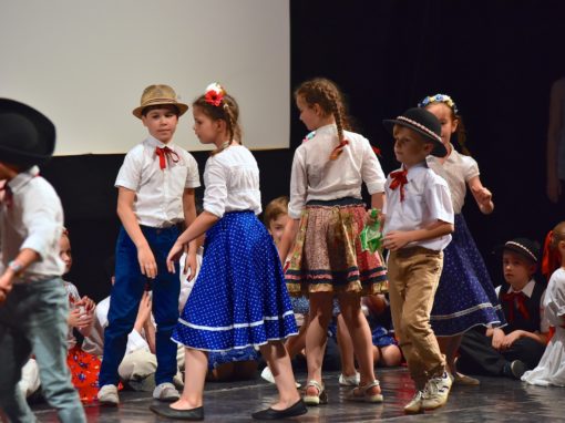 0174-80-vyrocie-zsmh-foto-pavol-harum