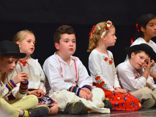 0178-80-vyrocie-zsmh-foto-pavol-harum