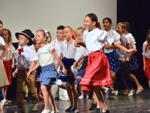 0183-80-vyrocie-zsmh-foto-pavol-harum