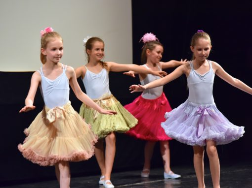 0273-80-vyrocie-zsmh-foto-pavol-harum