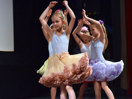 0275-80-vyrocie-zsmh-foto-pavol-harum