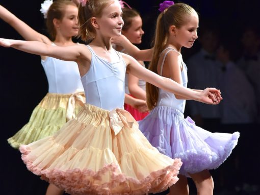 0277-80-vyrocie-zsmh-foto-pavol-harum