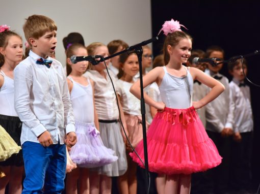 0287-80-vyrocie-zsmh-foto-pavol-harum