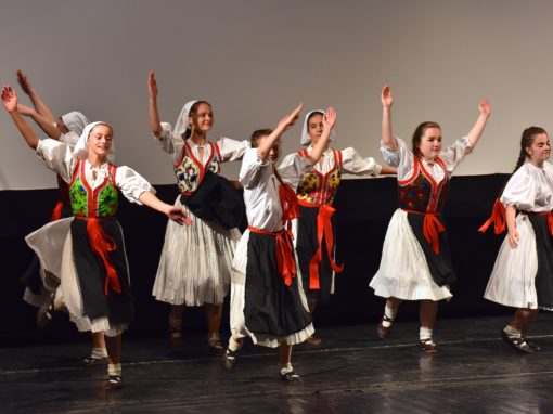 0295-80-vyrocie-zsmh-foto-pavol-harum