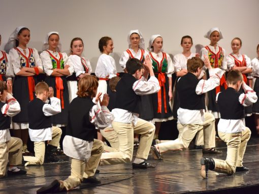 0302-80-vyrocie-zsmh-foto-pavol-harum