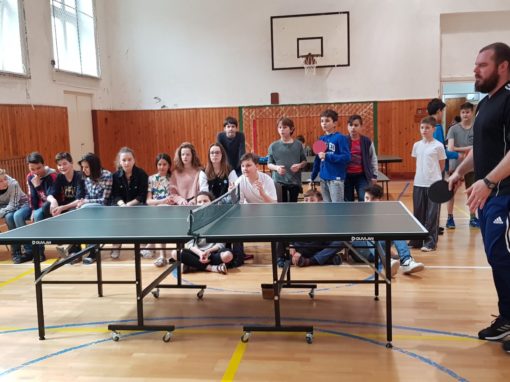 29663184-354876208350357-4822405960800620720-o-354876208350357