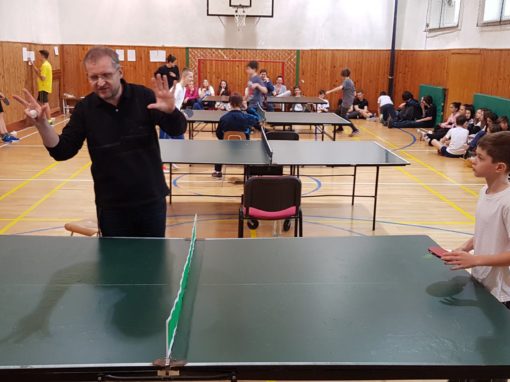 29663236-354872655017379-7886482748702445752-o-354872655017379