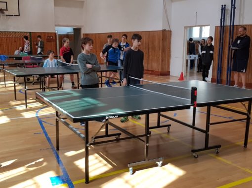 29663239-354874151683896-6621298667873432617-o-354874151683896