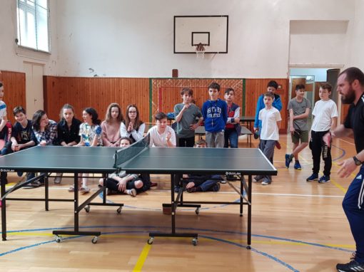 29663252-354876298350348-8803413030920907370-o-354876298350348