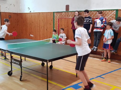 29663291-354873961683915-1709161533096048101-o-354873961683915