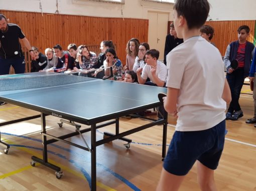 29664738-354876958350282-6262691879216472652-o-354876958350282