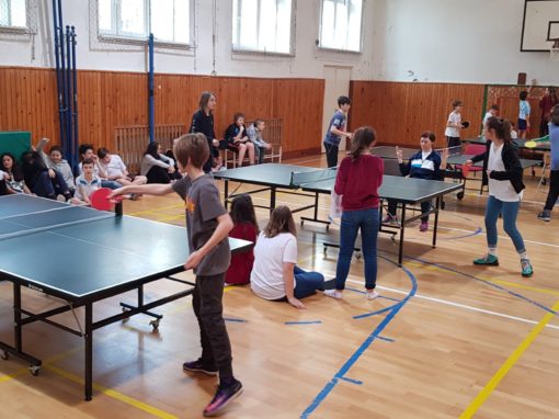 29664963-354873521683959-5527035860218513852-o-354873521683959