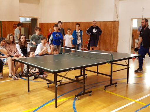 29665254-354874828350495-8593395778326609304-o-354874828350495