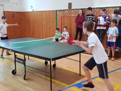 29665278-354874971683814-2657524469665555371-o-354874971683814