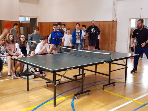 29665353-354874785017166-5386444236747829875-o-354874785017166