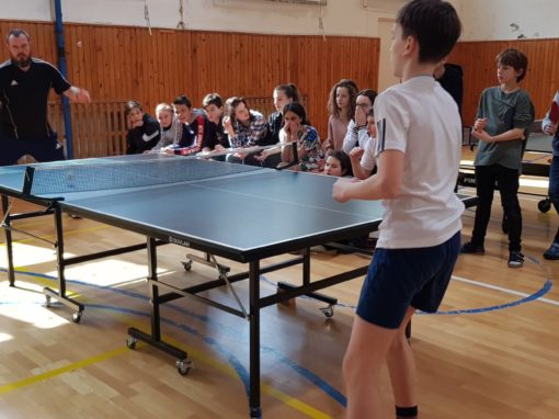 29665429-354877261683585-2357031301515781801-o-354877261683585