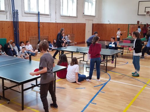 29665638-354873588350619-1379413589014915713-o-354873588350619