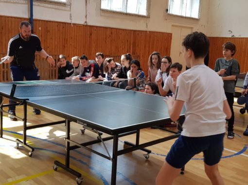 29744276-354875161683795-6256044100808084541-o-354875161683795