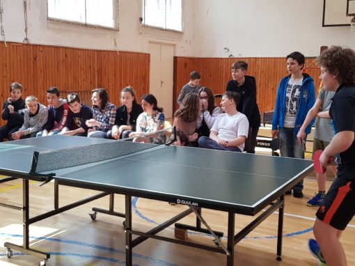 29744444-354876978350280-4650639747167865906-o-354876978350280