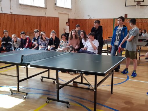 29744532-354877008350277-2281768877485412004-o-354877008350277