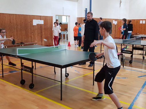 29744551-354874098350568-2472018676989268578-o-354874098350568