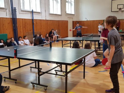 29744645-354873428350635-6094874380129246120-o-354873428350635