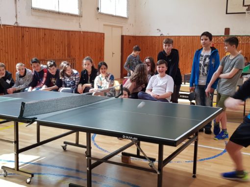 29744740-354876835016961-1001717666669527216-o-354876835016961