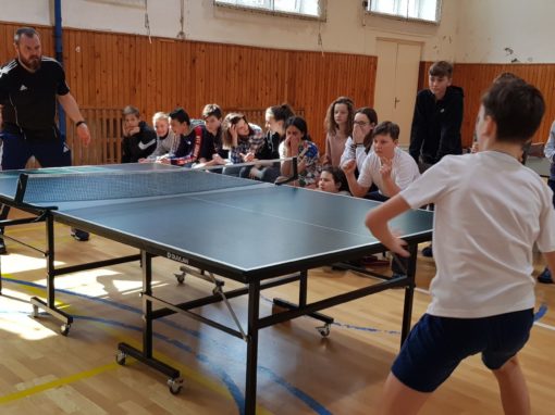 29744776-354875328350445-27389925860114474-o-354875328350445