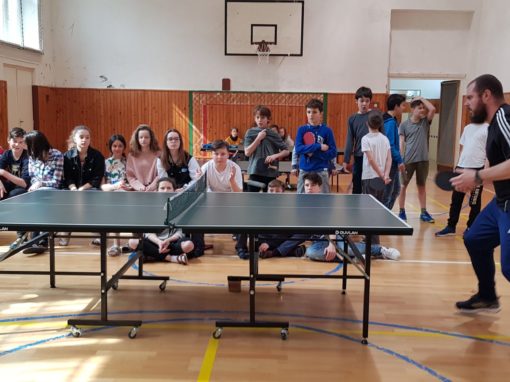 29744835-354876108350367-783228584148092185-o-354876108350367