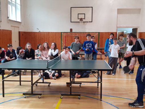 29745053-354876135017031-292961184420233415-o-354876135017031