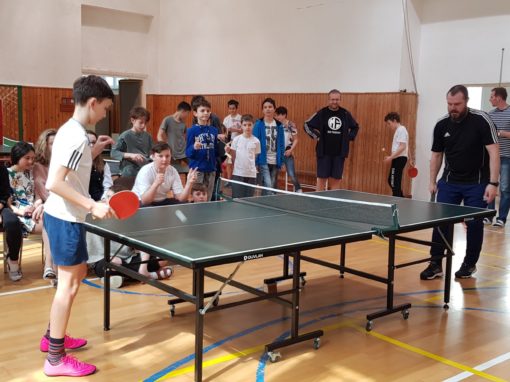 29745132-354874561683855-7112211620797288666-o-354874561683855