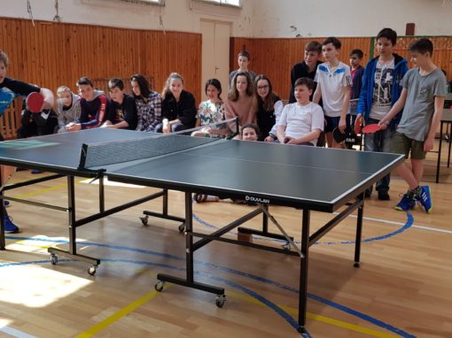 29749233-354877165016928-1843722448931857348-o-354877165016928