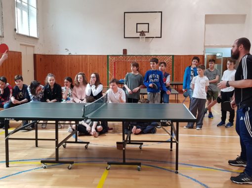 29749461-354876238350354-465467521055213961-o-354876238350354