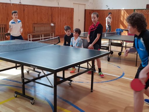 29749652-354874378350540-7488792225416231061-o-354874378350540