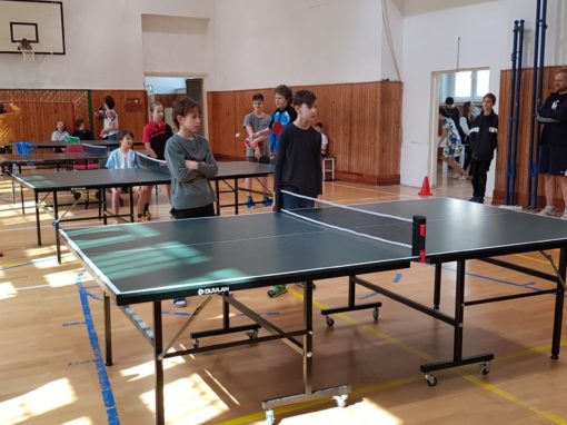 29749812-354873808350597-1659537709718642425-o-354873808350597