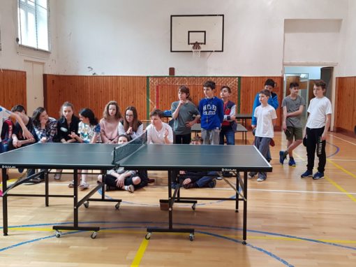 29871978-354876248350353-6046115152014067295-o-354876248350353