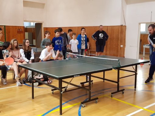 29872107-354877131683598-2214936064619827844-o-354877131683598