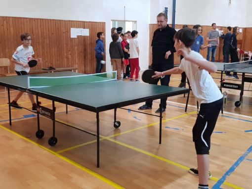 29872717-354874238350554-1547997095882367139-o-354874238350554