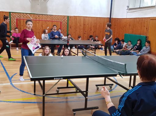 29872734-354873275017317-5275122303062955696-o-354873275017317