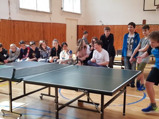 29872781-354876808350297-2002349368135923997-o-354876808350297