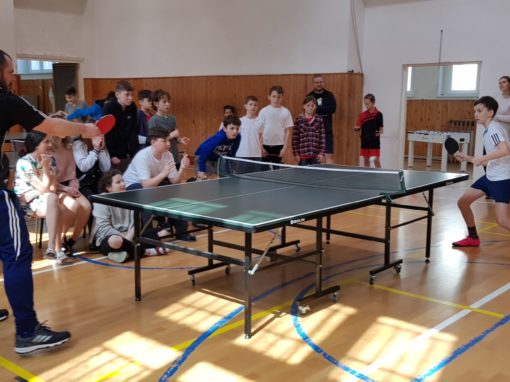 29982813-354875425017102-8098636001360989254-o-354875425017102