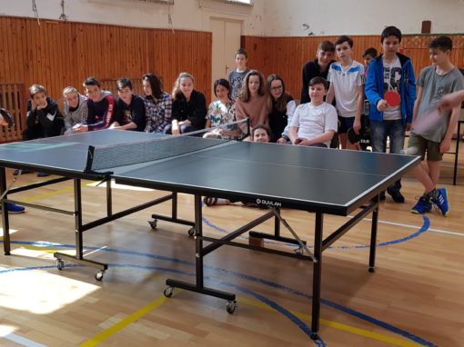 29983635-354877055016939-7268523135289472742-o-354877055016939