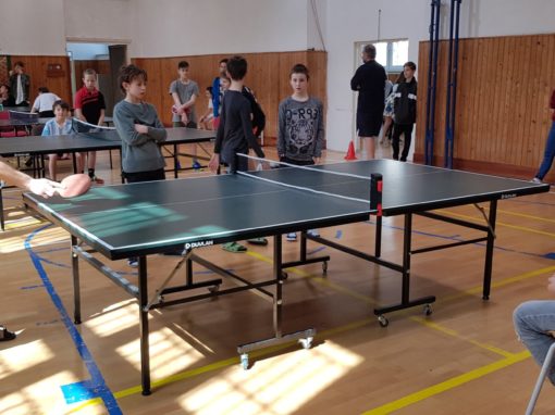 30052316-354874298350548-2681726548372505571-o-354874298350548