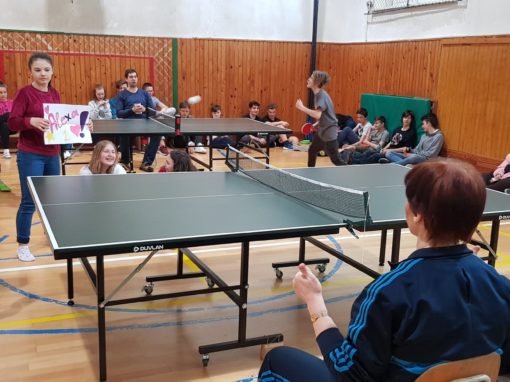 30073139-354873198350658-3197558259439246223-o-354873198350658